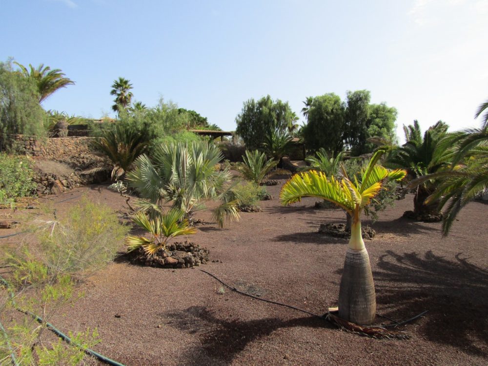 Villa Lajares Fuerteventura For sale 631 0003