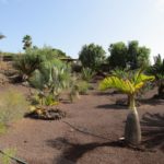 Villa Lajares Fuerteventura For sale 631 0003