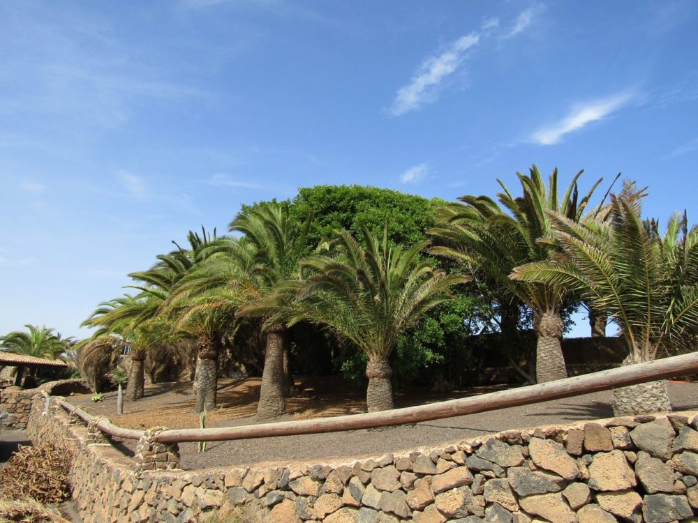 Villa Lajares Fuerteventura For sale 631 0027