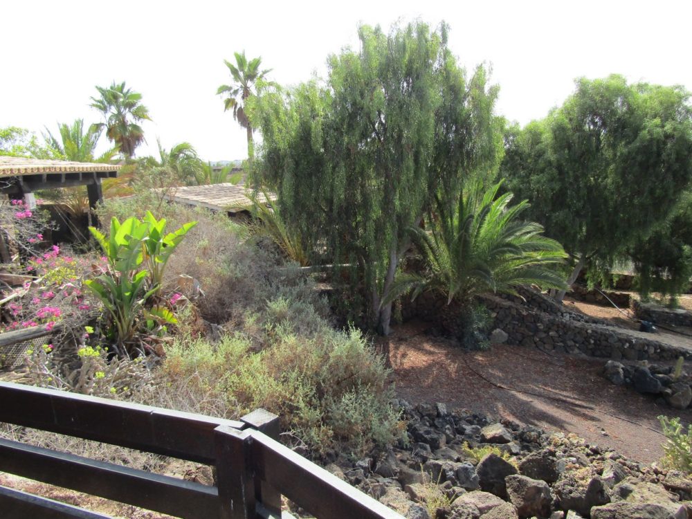 Villa Lajares Fuerteventura For sale 631 0036