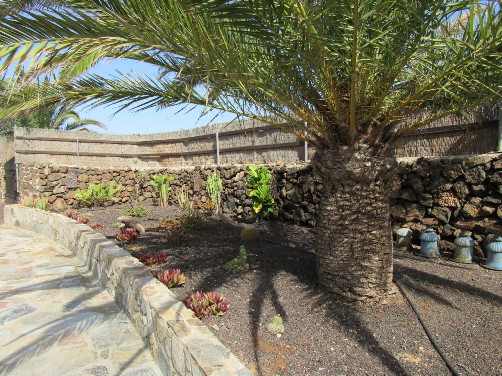 Villa Lajares Fuerteventura For sale 631 0058