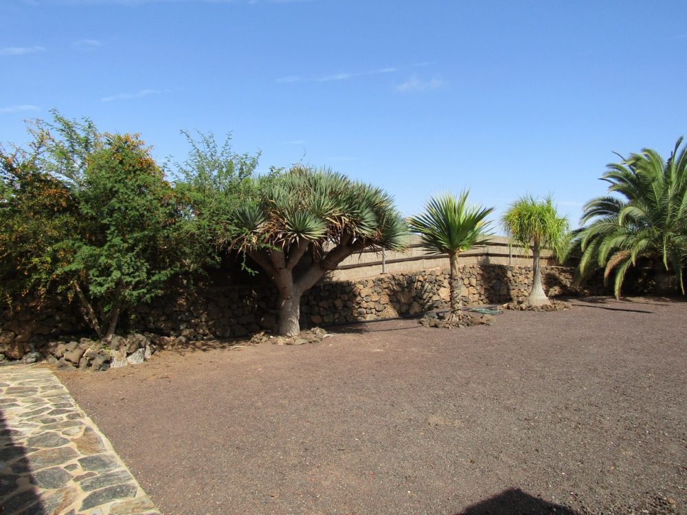 Villa Lajares Fuerteventura For sale 631 0060