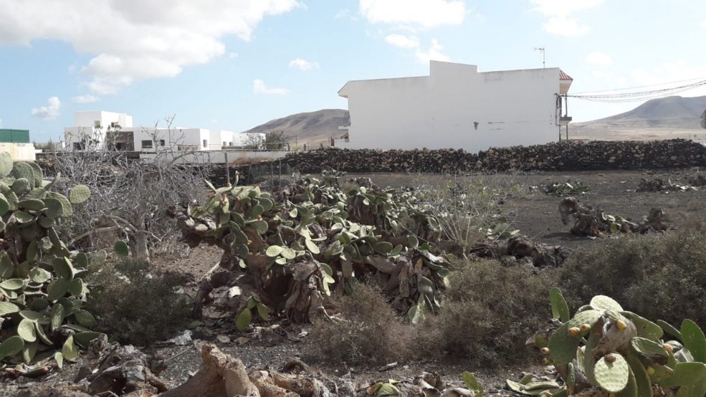 Casa House El Roque Fuerteventura For sale 6440007