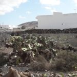 Casa House El Roque Fuerteventura For sale 6440007