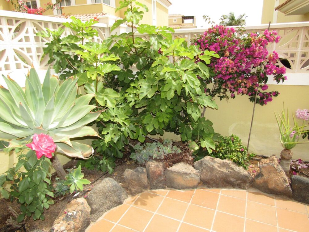 Semi detached villa Golden Park Corralejo Fuerteventura for sale 6510043