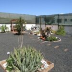 Villa Triquivijate Fuerteventura for sale 6540029