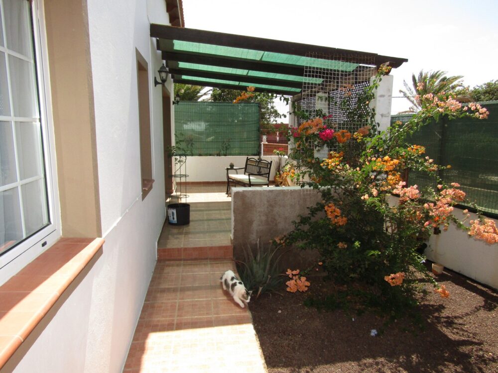 Villa Triquivijate Fuerteventura for sale 6540037