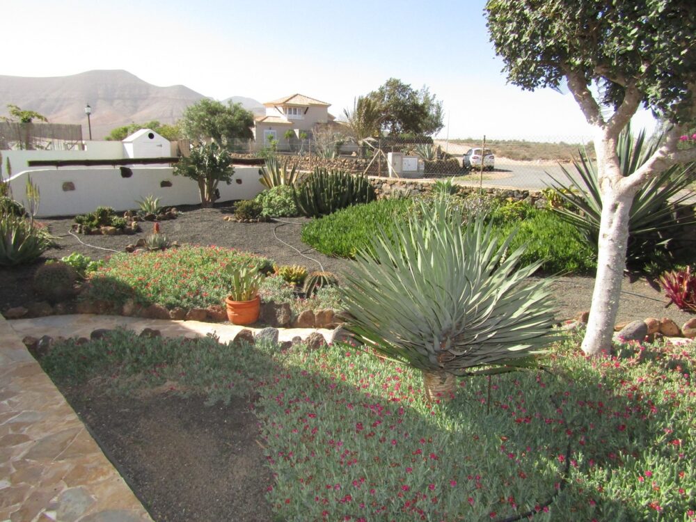 Villa La Oliva Fuerteventura for rent 2080005