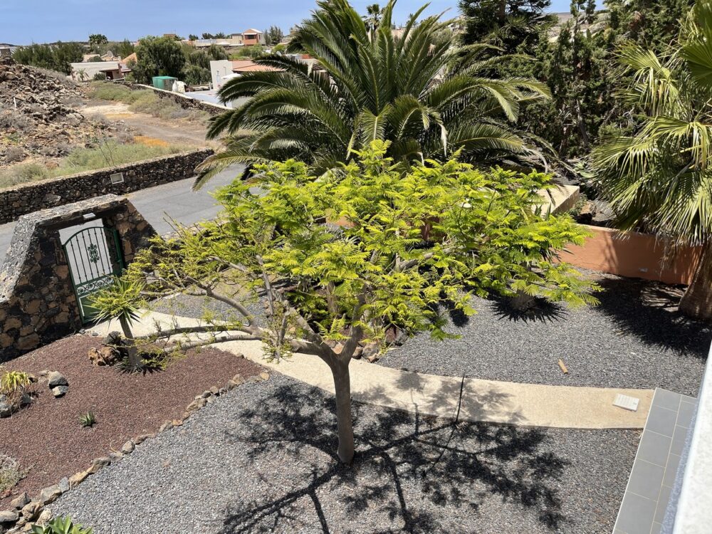 Villa Lajares Fuerteventura for sale 6730036