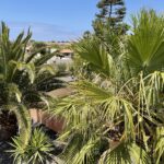 Villa Lajares Fuerteventura for sale 6730037