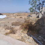 Land Tuineje Fuerteventura For Sale 0090 & 0091 4